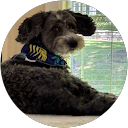 genevieve dipiero profile picture